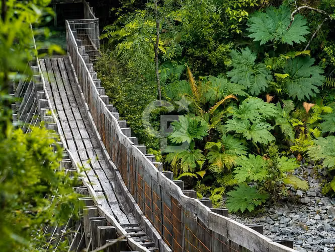 Casa nueva con bosque nativo y conectividad en Polincay