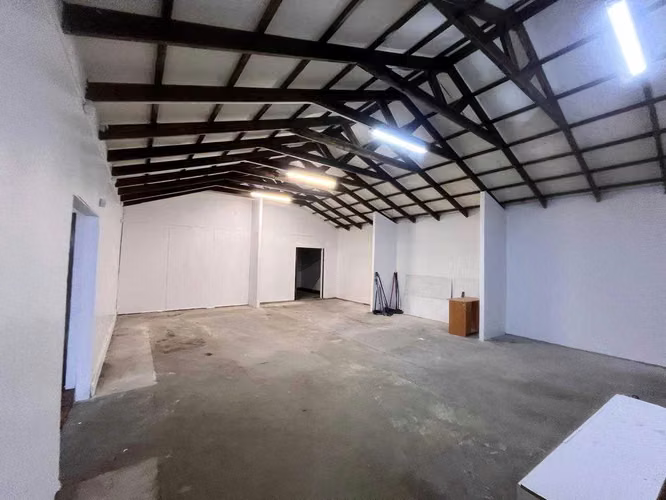 Local con gran espacio para oficinas mas bodegas (175893)