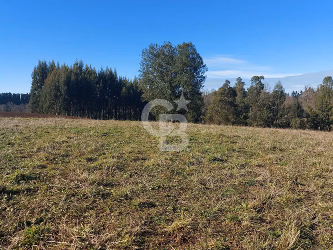 Gran refugio rodeado de tranquilad a 25 min de Osorno