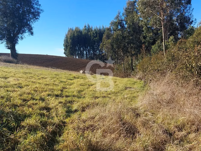 Gran refugio rodeado de tranquilad a 25 min de Osorno