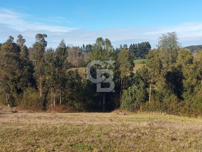 Gran refugio rodeado de tranquilad a 25 min de Osorno