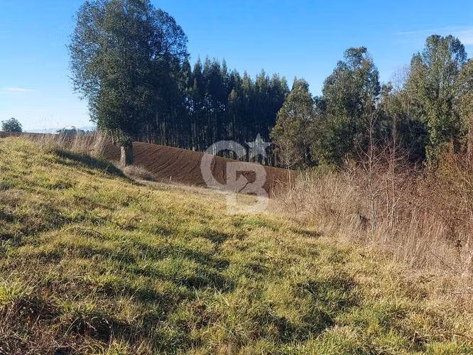 Gran refugio rodeado de tranquilad a 25 min de Osorno