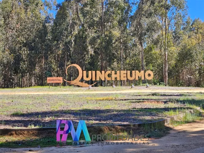 Espectacular Parcela 5.000 M2 en venta en Pichilemu