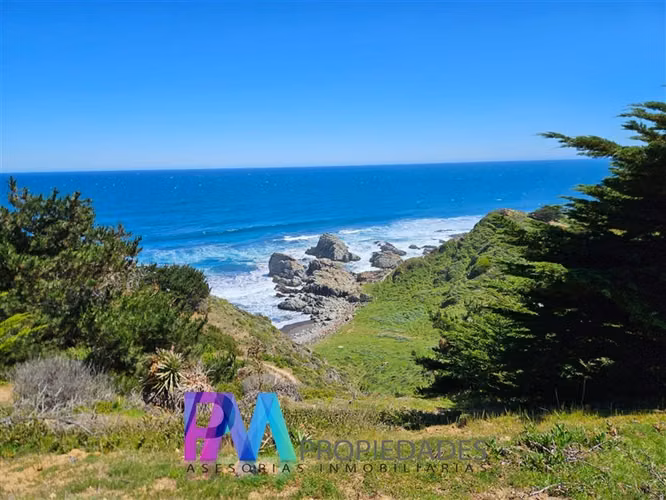 Espectacular Parcela 5.000 M2 en venta en Pichilemu
