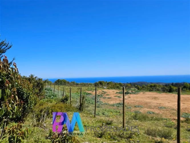 Espectacular Parcela 5.000 M2 en venta en Pichilemu