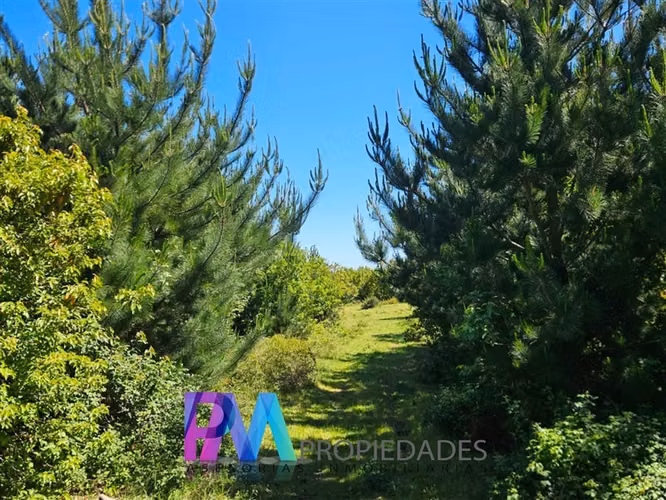Espectacular Parcela 5.000 M2 en venta en Pichilemu