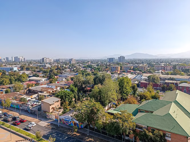 Los Andes de Violeta [3301-1]