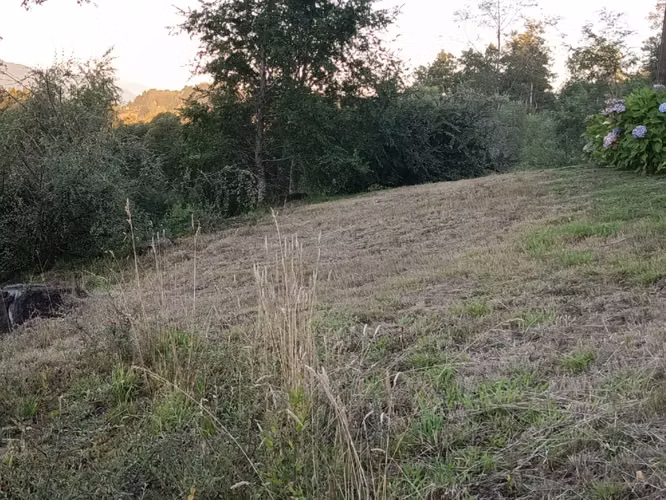 Sitio en venta de 5192m2 ubicado en Sector Los Riscos