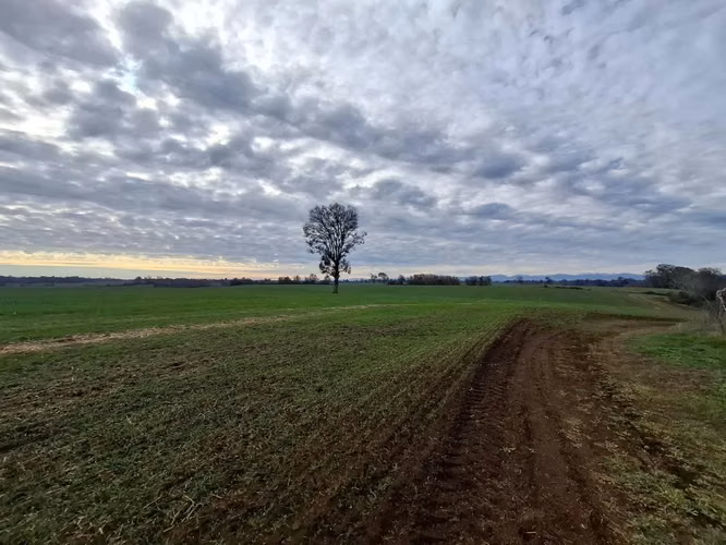Terreno Agrícola en Yungay