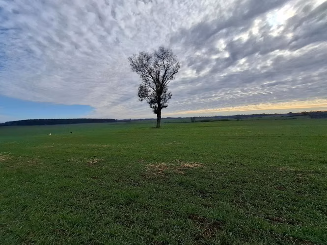 Terreno Agrícola en Yungay