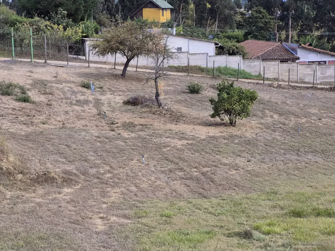 VENDE PARCELA SECTOR EL ESTERO LAS CABRAS