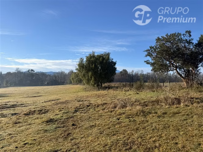 Venta- Parcela- Villarrica- Segunda Faja con Lefun