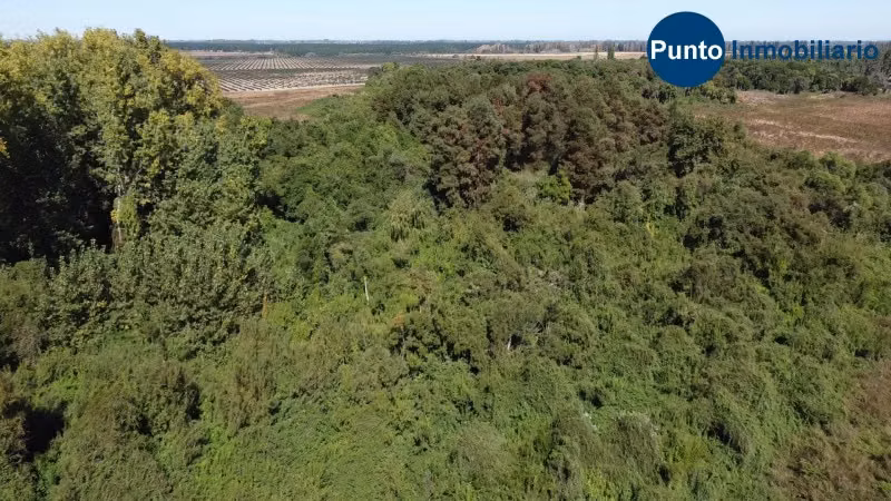 Parcelas Bosques de Quinquehua ** Últimas **