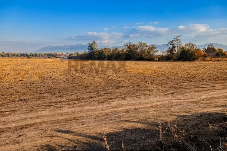 "oportunidad única: terreno de 9 ha en buin"