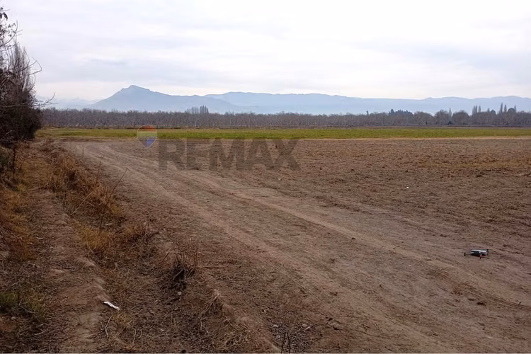 "oportunidad única: terreno de 9 ha en buin"
