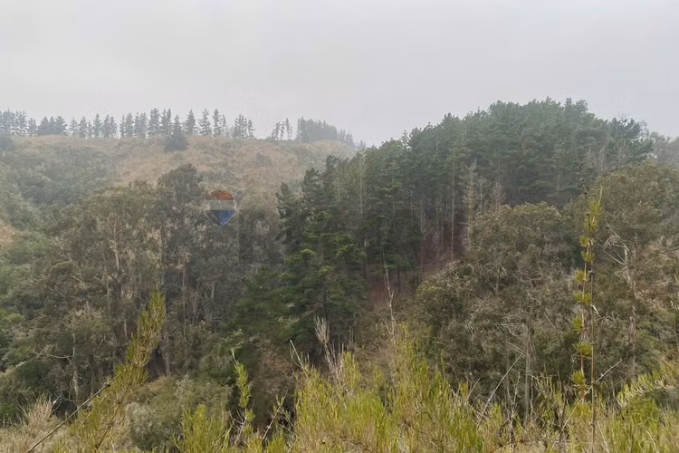 Sitio 5.000 m² en tunquén – entorno natural