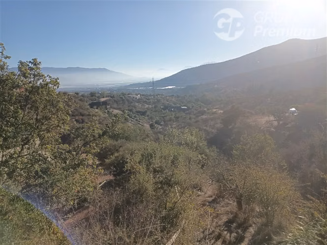 TERRENO CON PRODUCCION DE PALTOS Y CASA - SAN PEDRO - QTA