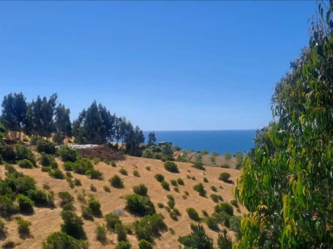 Parcela de 5.000 m² | Vista al mar | Electricidad | Lobos de Trilco, Vichuquén