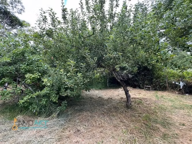 Parcela con orilla de río y casa en sector Pelales, Freire