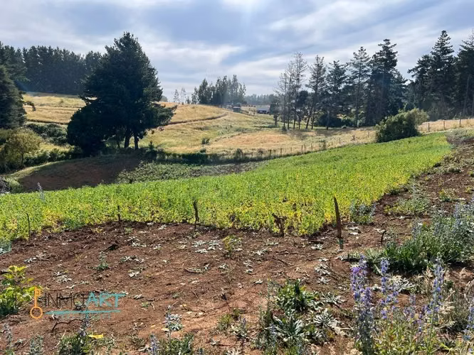 Parcela en Venta en Temuco - Imagen 8
