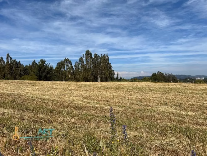 Parcela en Venta en Temuco - Imagen 9