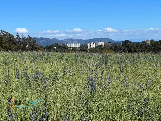 Parcela en Venta en Temuco - Imagen 17