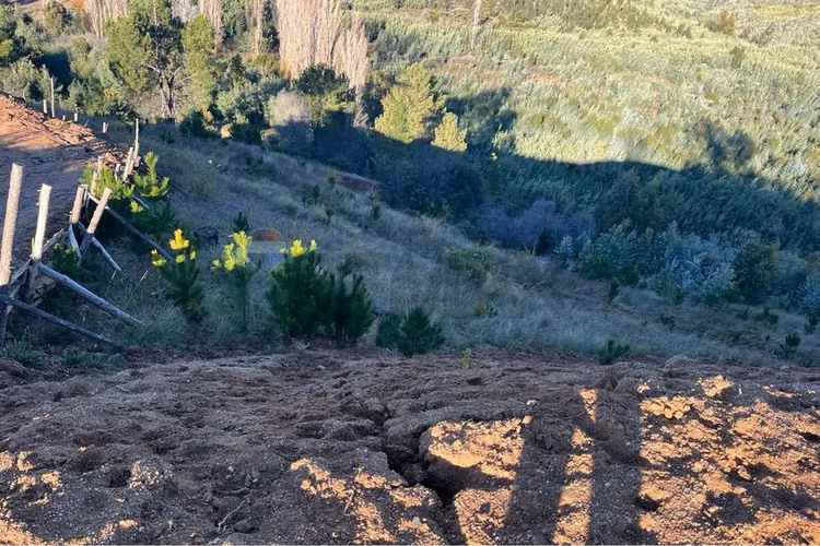 Terreno 5000 m² sta ana de baúl, quillón