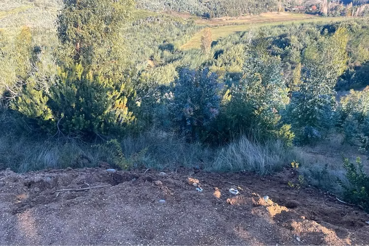 Terreno 5000 m² sta ana de baúl, quillón