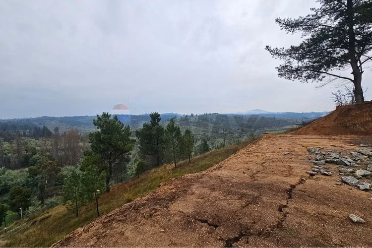 Terreno 5000 m² sta ana de baúl, quillón