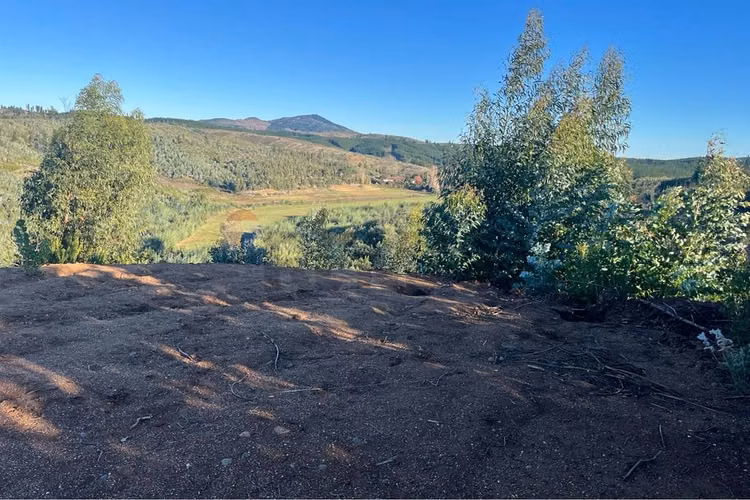 Terreno 5000 m² sta ana de baúl, quillón