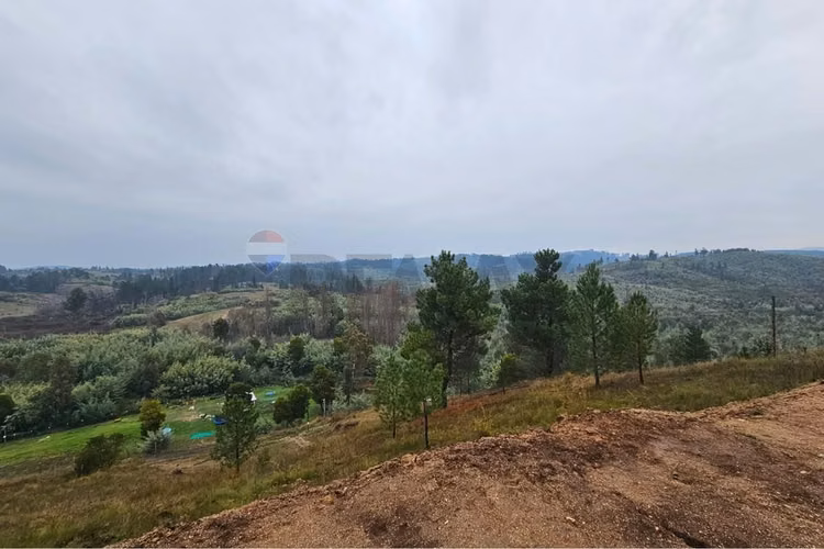 Terreno 5000 m² sta ana de baúl, quillón