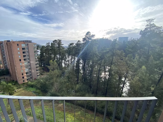 Departamento Andalue