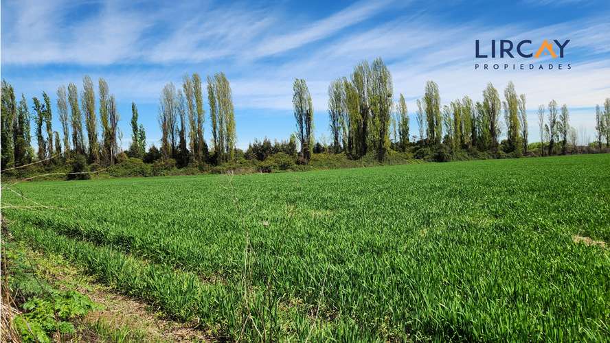 Gran Terreno en Venta muy cerca de Parral para Inversión.