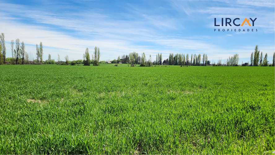 Gran Terreno en Venta muy cerca de Parral para Inversión.