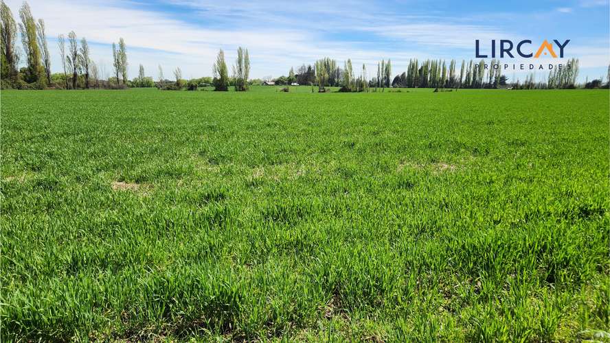 Gran Terreno en Venta muy cerca de Parral para Inversión.
