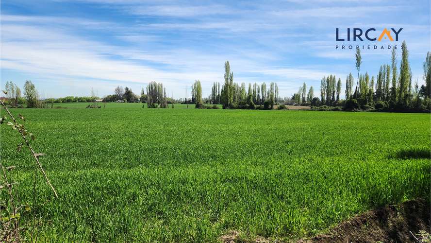 Gran Terreno en Venta muy cerca de Parral para Inversión.
