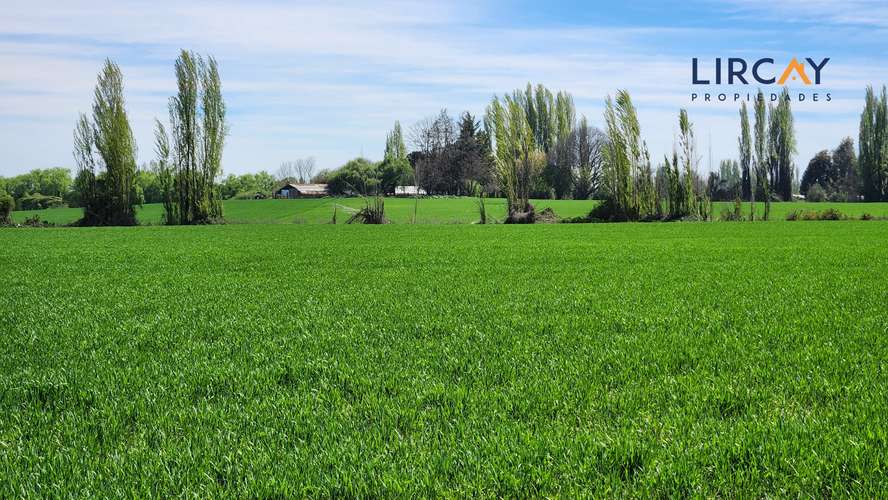 Gran Terreno en Venta muy cerca de Parral para Inversión.