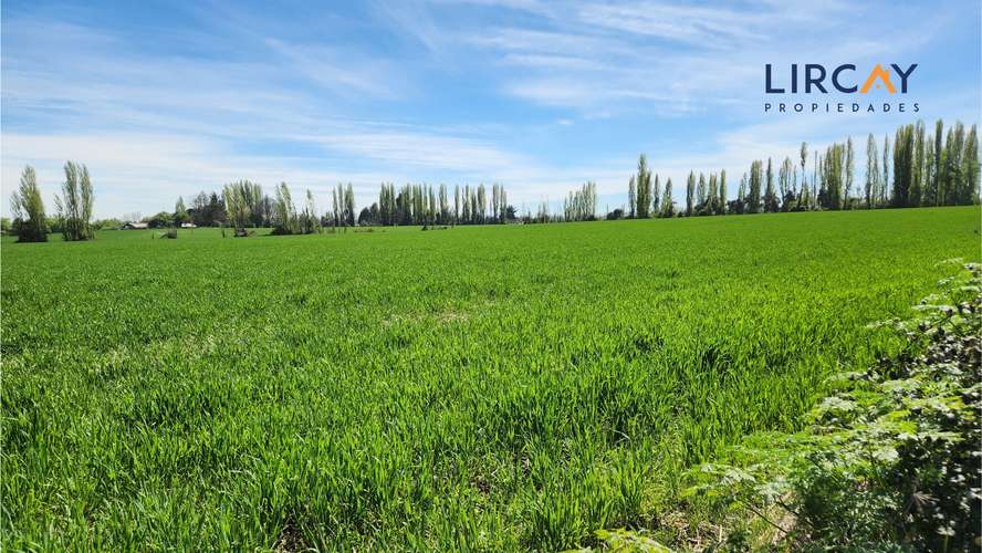 Gran Terreno en Venta muy cerca de Parral para Inversión.