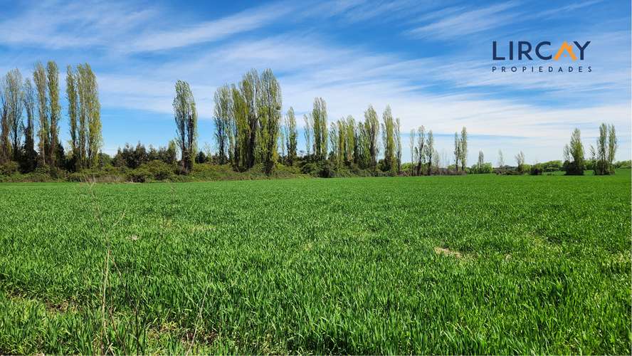 Gran Terreno en Venta muy cerca de Parral para Inversión.