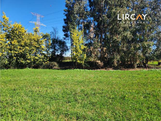 Ven a construir la casa de tus sueños en la comuna de San Clemente. Lote en Venta.