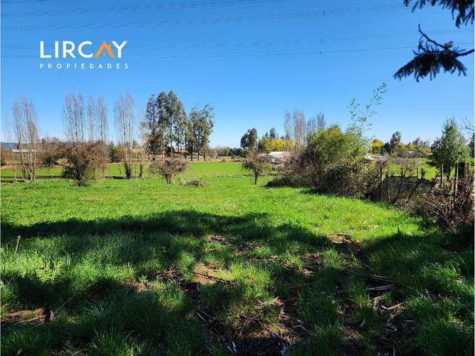 Ven a construir la casa de tus sueños en la comuna de San Clemente. Lote en Venta.