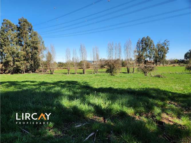 Ven a construir la casa de tus sueños en la comuna de San Clemente. Lote en Venta.