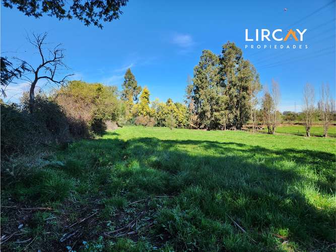 Ven a construir la casa de tus sueños en la comuna de San Clemente. Lote en Venta.