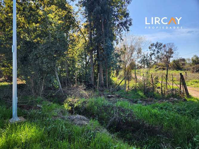 Ven a construir la casa de tus sueños en la comuna de San Clemente. Lote en Venta.