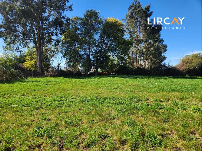 Ven a construir la casa de tus sueños en la comuna de San Clemente. Lote en Venta.
