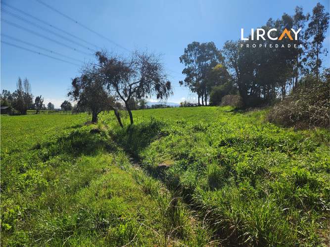 Ven a construir la casa de tus sueños en la comuna de San Clemente. Lote en Venta.