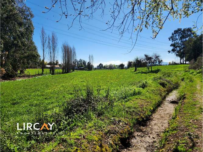 Ven a construir la casa de tus sueños en la comuna de San Clemente. Lote en Venta.