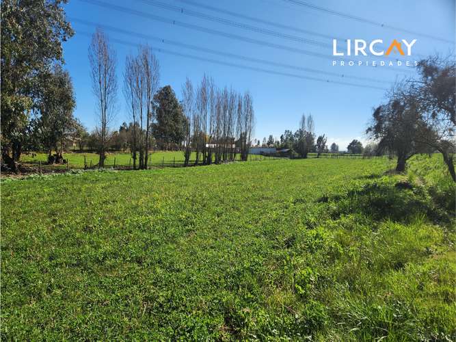 Ven a construir la casa de tus sueños en la comuna de San Clemente. Lote en Venta.