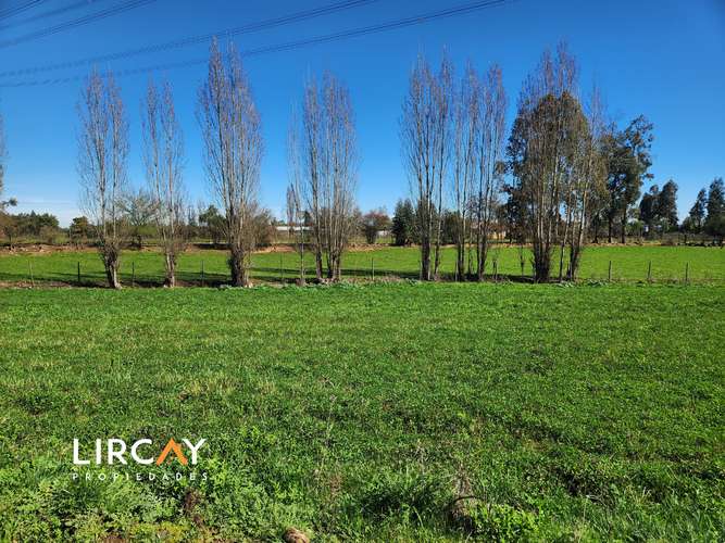 Ven a construir la casa de tus sueños en la comuna de San Clemente. Lote en Venta.