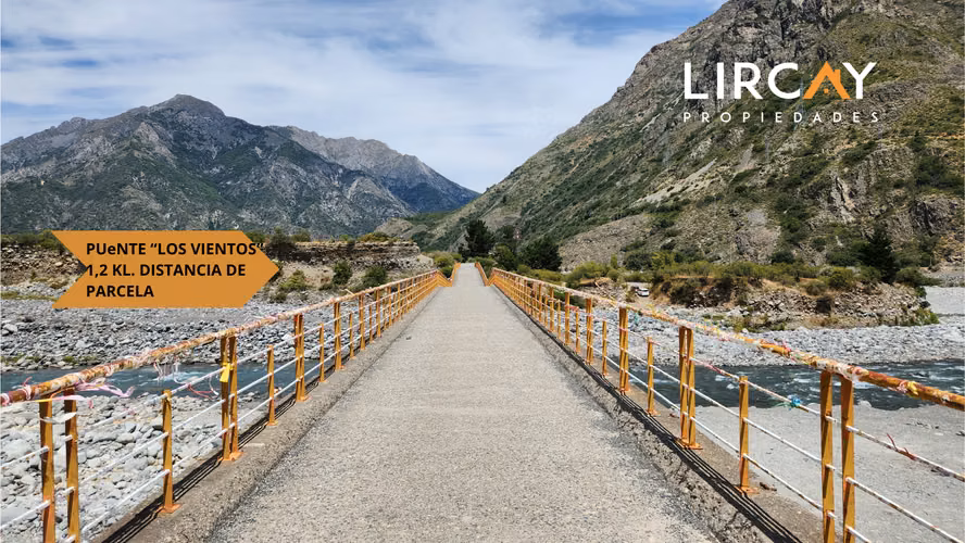 Lote Media Hectárea en medio de la Precordillera Maulina!
